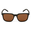 Royal Son Trendy Brown Cooling Polarized Sun glare glasses Men - CHI00152-C3