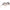 Royal Son Oversized Butterfly UV Protected Women Sunglasses