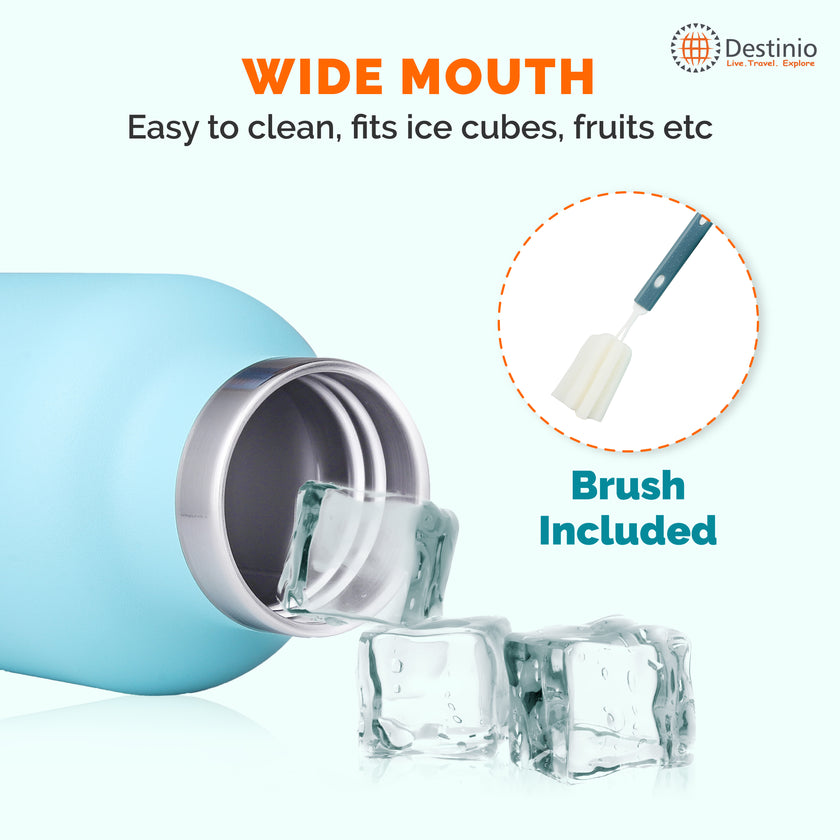 Destinio Insulated Bottle - 750 ML (Light Blue)