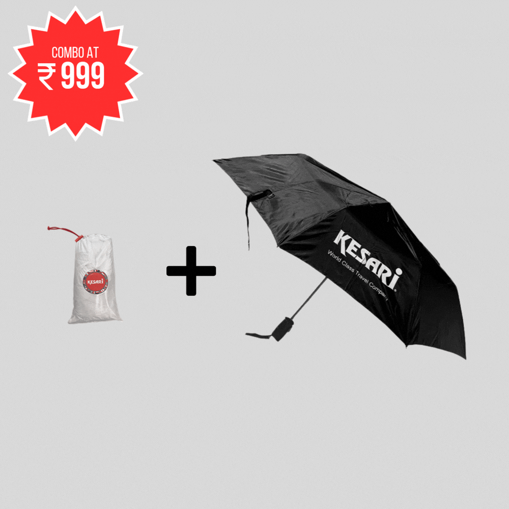 Umbrella +  Poncho Combo Set