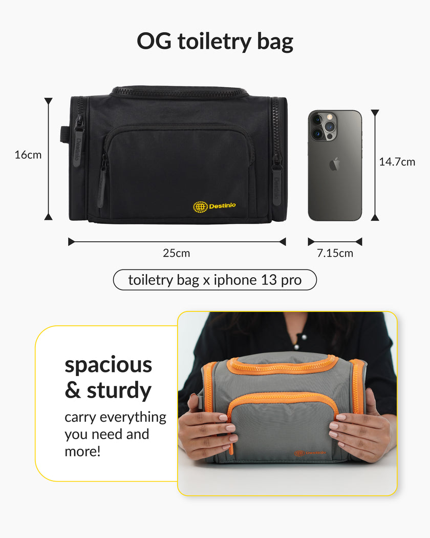 Destinio Electronics Organizer bag – Black