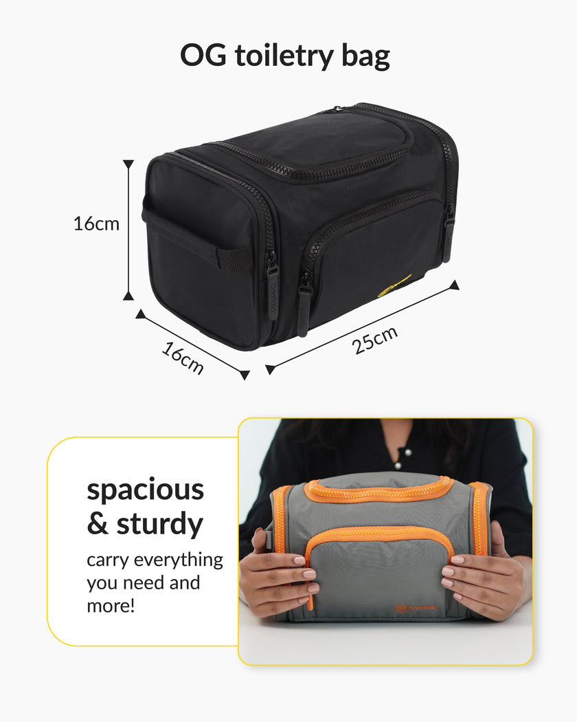 Destinio Electronics Organizer bag – Black