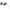 Royal Son Cat-Eye Oversized UV Protected Women Sunglasses
